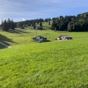 IMG 2558