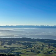 IMG 2660