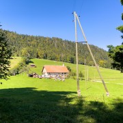IMG 2722