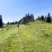 IMG 2725