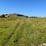 IMG 2777