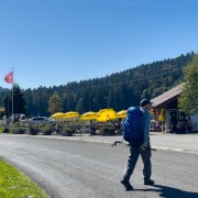 IMG 2902