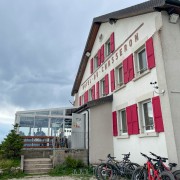 IMG 2946