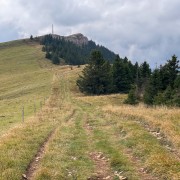 IMG 2952