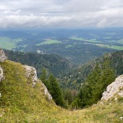 IMG 2965