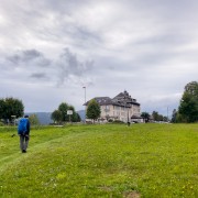 IMG 2975