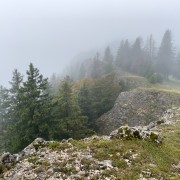 IMG 3017