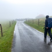 IMG 3034