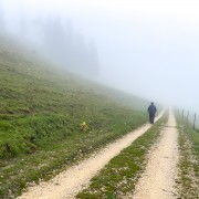 IMG 3038