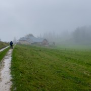 IMG 3040