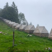 IMG 3043