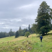 IMG 3047