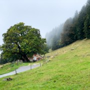 IMG 3057