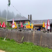 IMG 3062