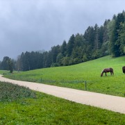 IMG 3065