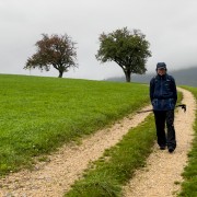 IMG 3074