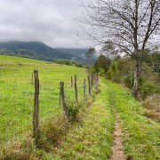 IMG 3092