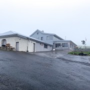 IMG 3149