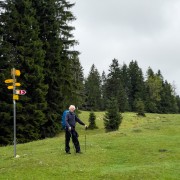 IMG 3191