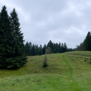IMG 3194