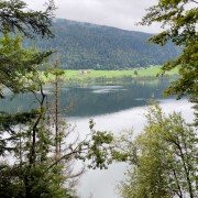 IMG 3220