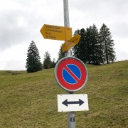 IMG 3274