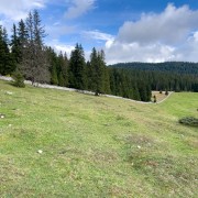 IMG 3298