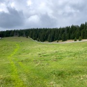 IMG 3302