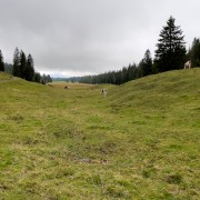 IMG 3309