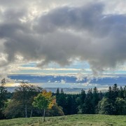 IMG 3344