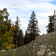 IMG 3358