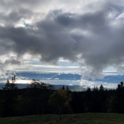 IMG 3359