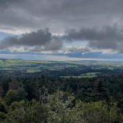 IMG 3410