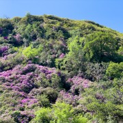 IMG 4415