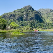 IMG 4429