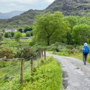 IMG 4583