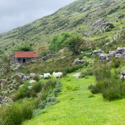 IMG 4669