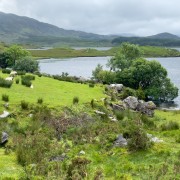 IMG 4708