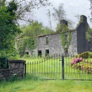 IMG 4732