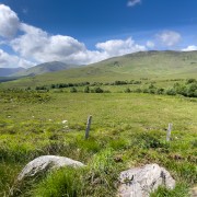 IMG 4757