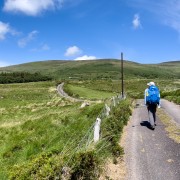 IMG 4758