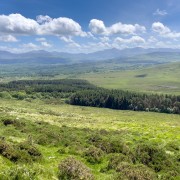 IMG 4774