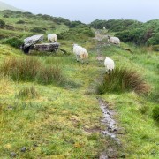 IMG 4841