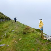 IMG 4848