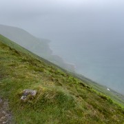 IMG 4853