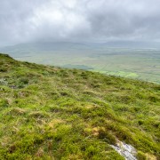 IMG 4910