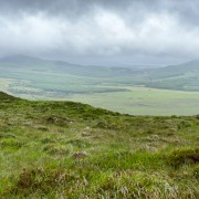 IMG 4918
