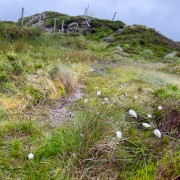 IMG 4925