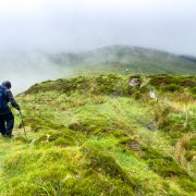 IMG 4927