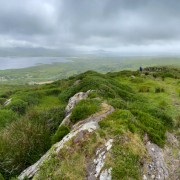 IMG 4999